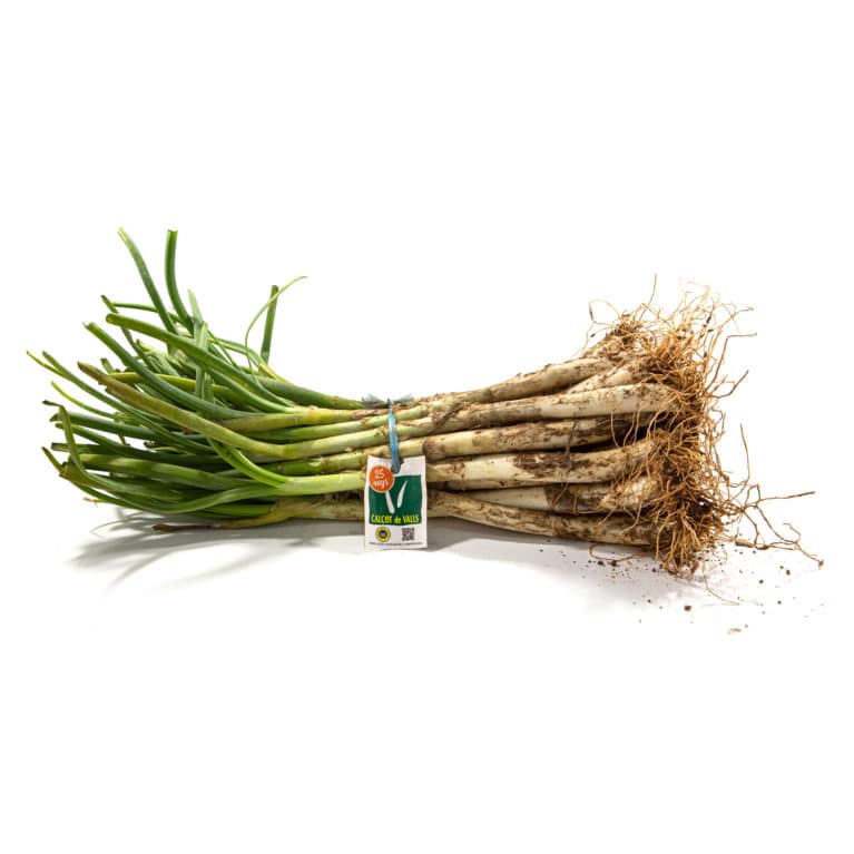 Producte agroalimentari català calçot de Valls