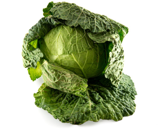 Green cabbage from Manresa