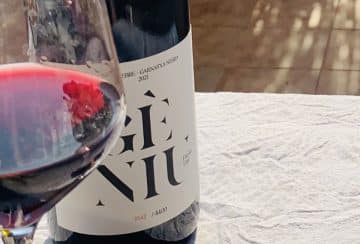 vino y copa de vino
