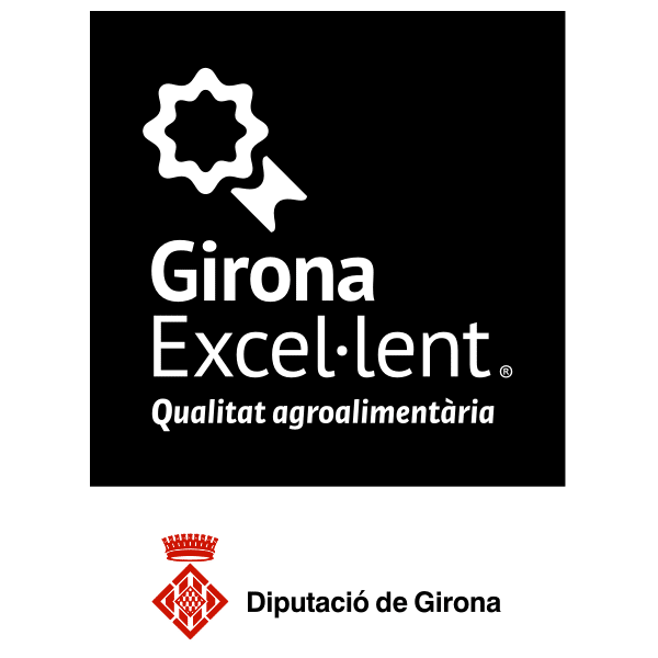 Girona Excellent